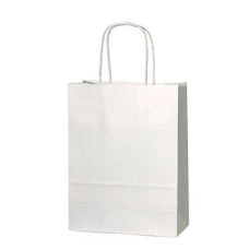 Twisted Handle White Paper Bags