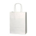 Twisted Handle White Paper Bags