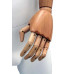 Articulated Fibreglass Female Mannequin Upright Pose 