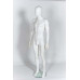 Male Matt White Plastic Mannequin Egg-head 323