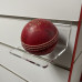 Slatwall Acrylic Cricket Ball Holder