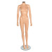 Fleshtone Female Headless Plastic Mannequin 319